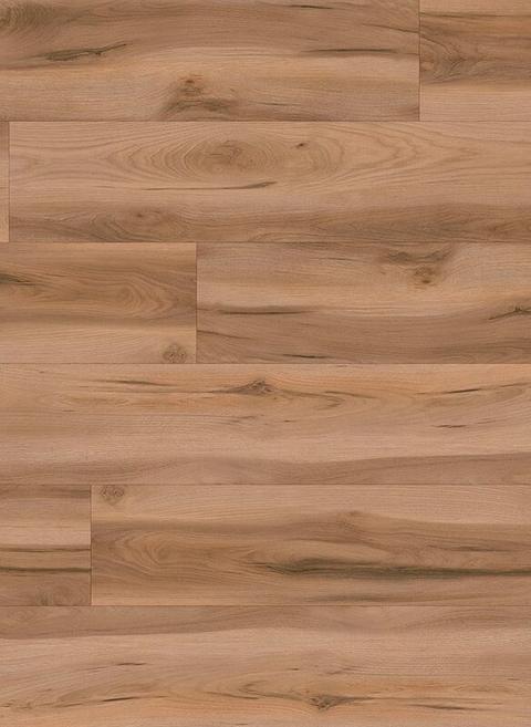 Hickory