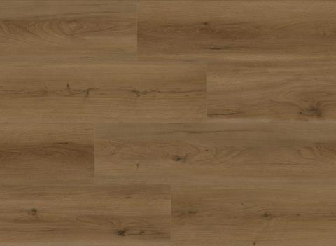 Cedar