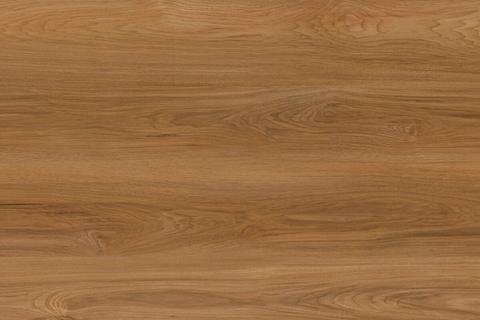 Elm
